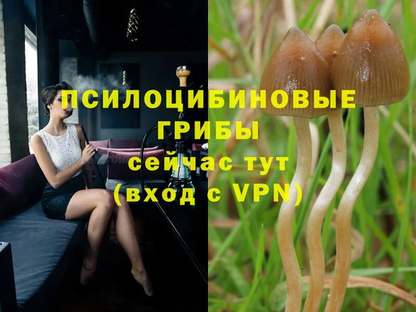 прущая мука Алексин