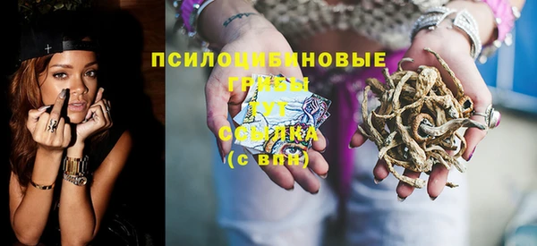 твердый Алзамай
