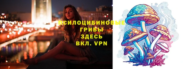 прущая мука Алексин